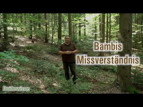 Bambis Missverständnis