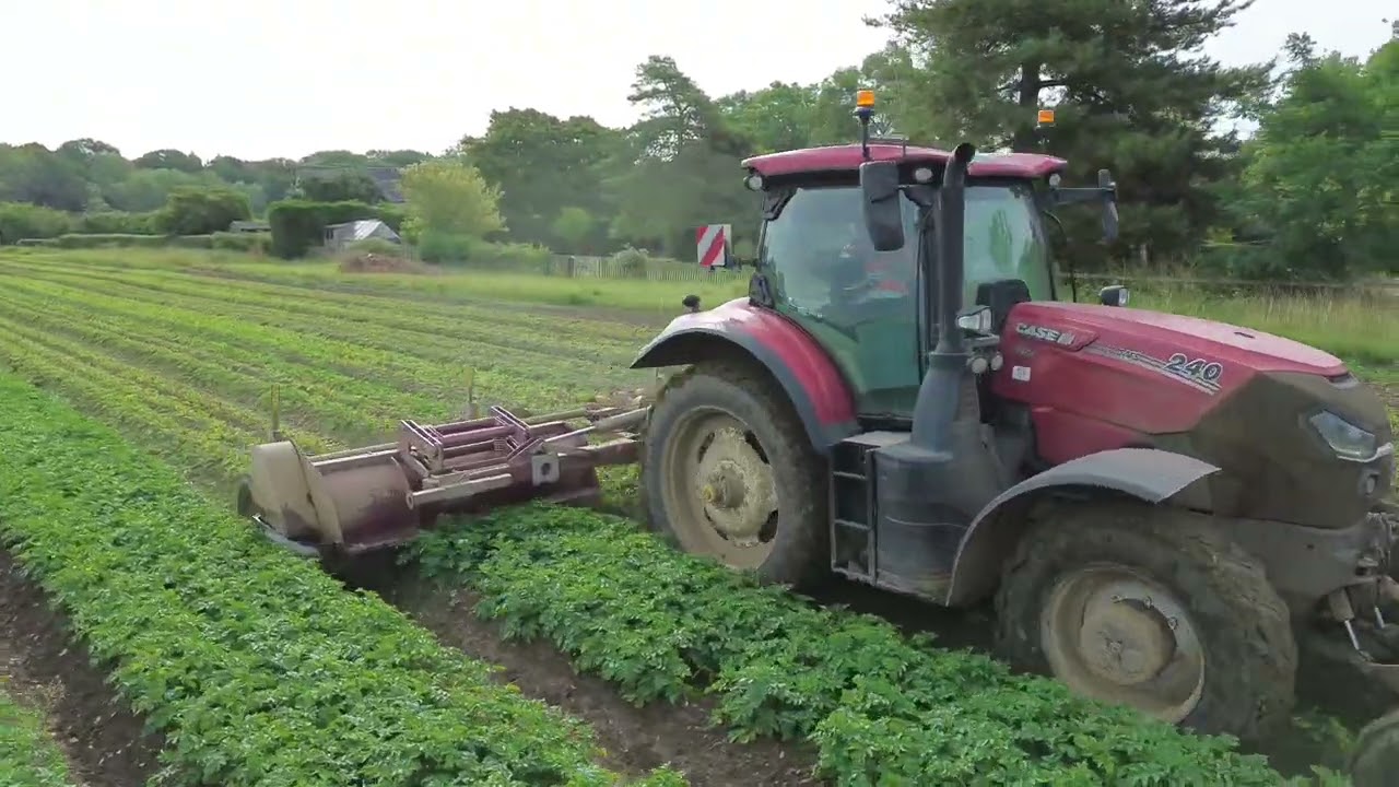 Seed Potatoes Get Topped! UK Potato Tour 2025