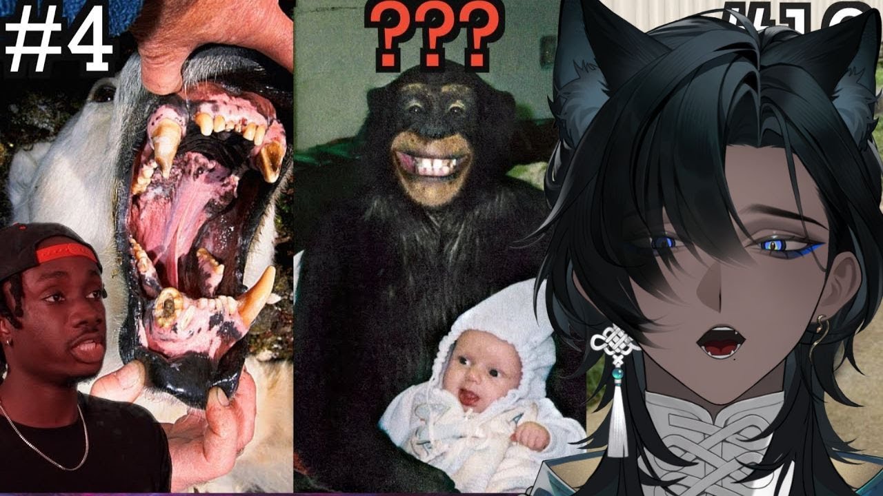 10 самых жутких способов охоты животных на вас | Реакция DRMalliVT