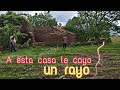 En busca del tesoro perdido de la casa que partió un rayo!