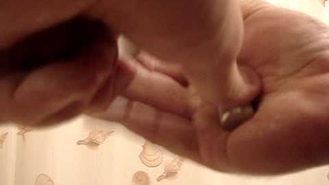 Captains of Crush 3.5 deep set close