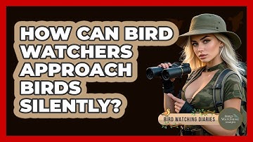 How Can Bird Watchers Approach Birds Silently? - Bird Watching Diaries