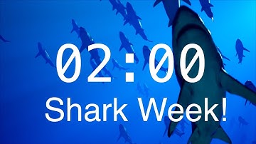 2 Minute Countdown Timer with Alarm | Relaxing Music | Shark Timer