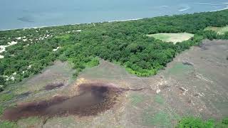 Higbee Beach Wildlife Management Area Restoration Project Video-2020 preconstruction