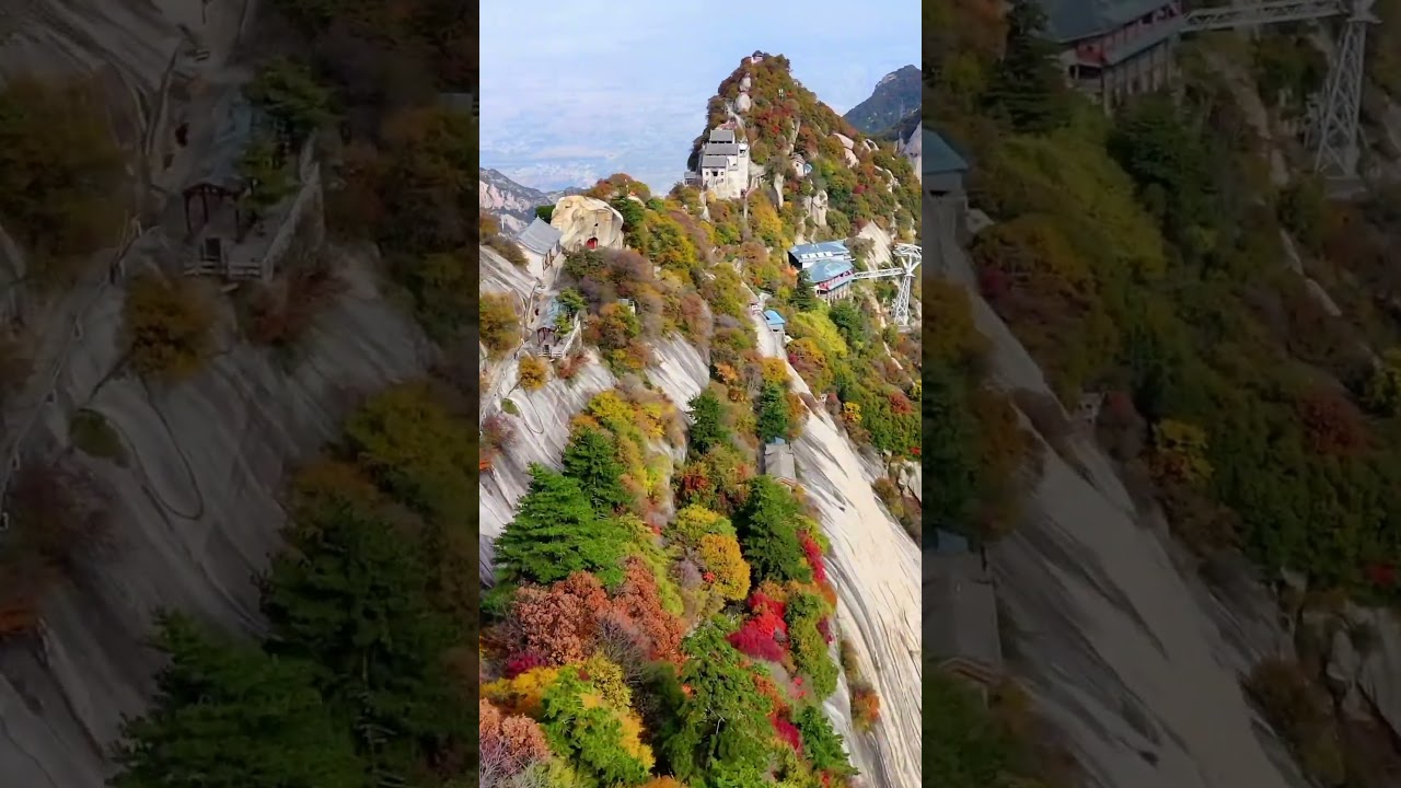 Stunning array of colors  against the rugged gray rock  