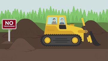 Nelson v. State Case Brief Summary | Law Case Explained