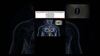 İnsan vücudunda en hızlı yenilenen hücre hangisidir?