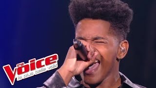 Lisandro Cuxi et M Pokora  « Cry Me A River » | The Voice France 2017 | Live