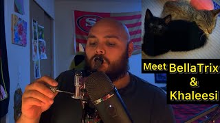 Weed ASMR: Taking a Dab 🌿 | Life Update + Meet My New Kittens!