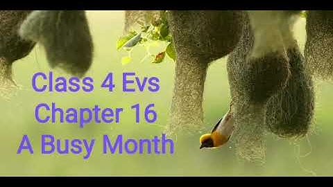 Class 4 Chapter 16 A  Busy Month part 2