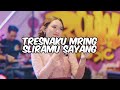 KARAOKE LIRIK HAPPY ASMARA - LAMUNAN