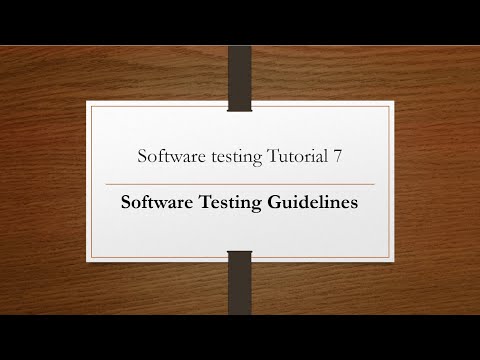 Software Testing Guidelines