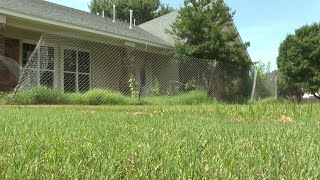 Broken Arrow neighbors reach out about overgrown house