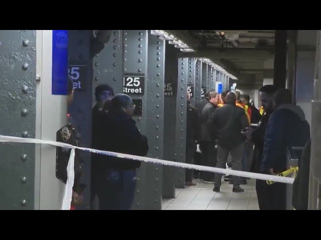 Man Pushed In Front Of Subway Train In East Harlem Suspect Charged With Murder