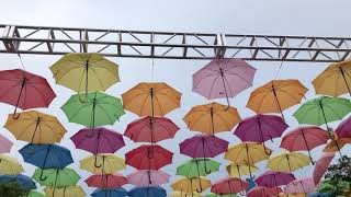 Umbrella sky Coral Gables