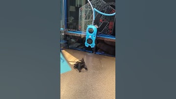 Voron Serial Request