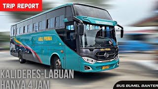 Bus Andalan Orang Banten‼️ Trip Kalideres-Labuan Bersama Bus Asli Primama