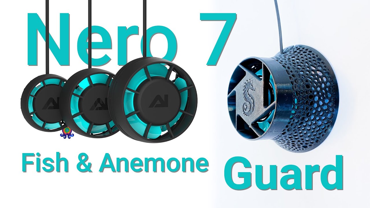 Nero 7 Fish & Anemone Guard | Design & Creation | Aquaillumination