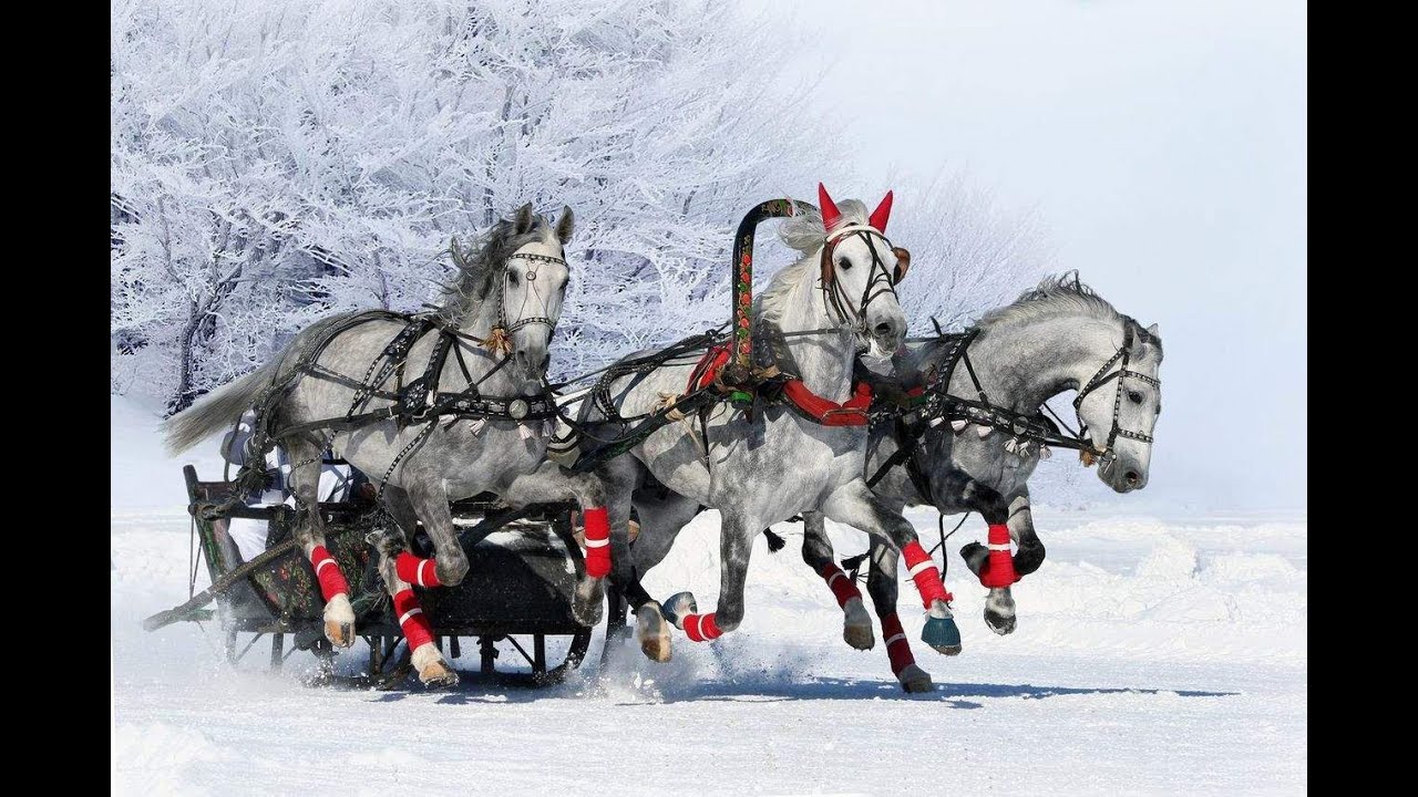 Mećavalav Nikolajevič Tolstoj YouTube