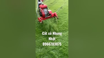 Máy Cắt Cỏ Sân Vườn Cắt Cỏ Nhung Nhật Shibaura. Robin.Kubota#0966703075