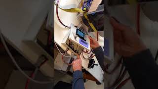 IMG 3910