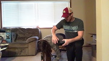 Shoulder Proprioception Assessment