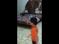 مواقف مضحكه مع رضا ومحمد صادق