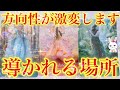 【ご縁が導く最高の未来🌟】運命の方向性が明らかに💖あなたが本来居るべき“環境”と“本当の居場所”とは？【当たるタロット占い】【オラクルカードリーディング】【再投稿】