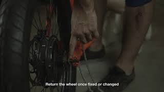 Rayvolt Bike - Wheel replacement Cruzer