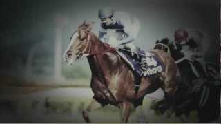 なんj競馬 Jraのかっこいいcmで一番好きなcm なんj競馬 Jraのかっこいいcmで一番好きなcm