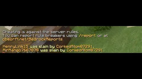 GOING GODMODE WITH CUBECRAFT DISABLER? (RISE) (java to bedrock translation)