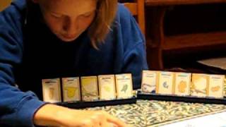 10 Days in Europe Game from www.thepresentfinder.co.uk