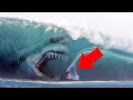 10 Sightings of the Megalodon That May Prove It Exists