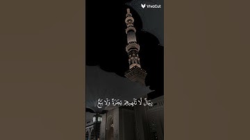 #قران_كريم 🤍القارئ عبدالرحمن مسعد