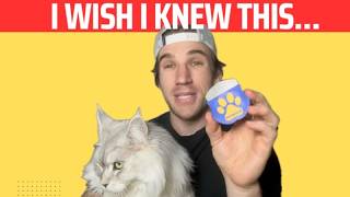 Pethroom Professional Eye Comb For Pets Is It Worth It?