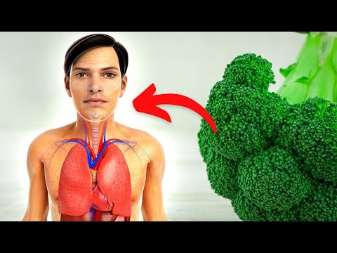 Vidéo: Le brocoli est-il bon pour vous ?