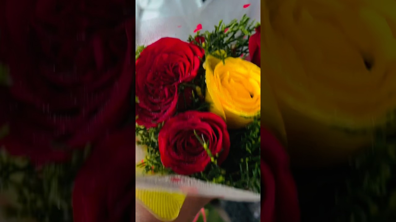 ROSE DAY | VALENTINE WEEK | PURCHASING ROSE FOR MY VALENTINE