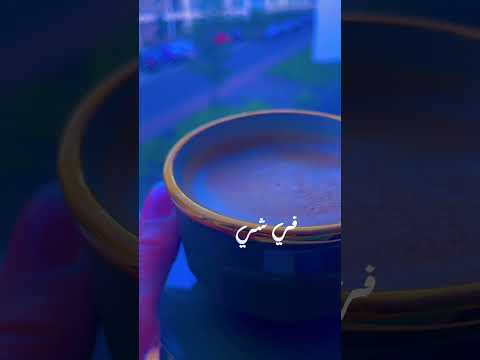 16  2024 فضل شاكر ياايام الجاية