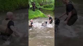 Marine Corps Martial Arts Program #shorts Wealth