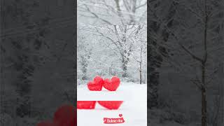 Whatsapp Winter Status Imagesdp Pictures For
