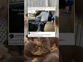We All Know A "Backpack Boyfriend" Like This 🎒 #memes #funny #pets