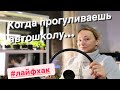 #влог О наших вещах в Норильске. Обзор участка на юге зимой. Как зимуют растения. Переезд на юг