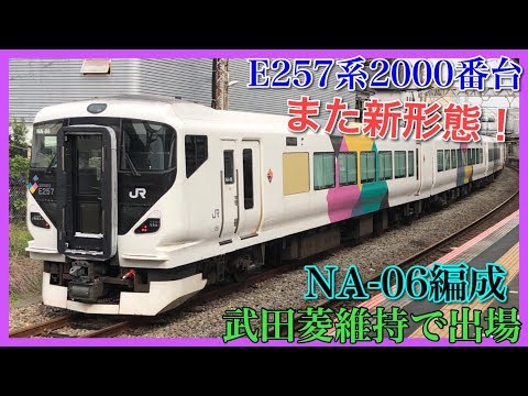 [最終値下]E257系2000番台 加工品 sddefault.jpg