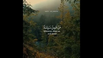 أجمل حالات واتساب قرآن كريم بصوت ماهر المعيقلي#قناة_نخوة_للفوائد