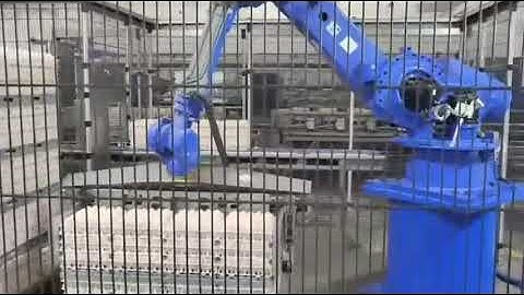 Egg Tray Depalletizer robot egg Depalletizing system Palletizing of trays for eggs #eggtray #robots
