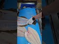 🐟 Giant flatfish cleaning and cutting skills!