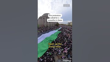 Thousands gather for pro-Palestinian rally in D.C.