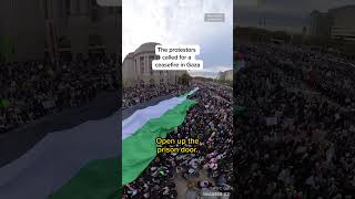 Thousands gather for pro-Palestinian rally in D.C.