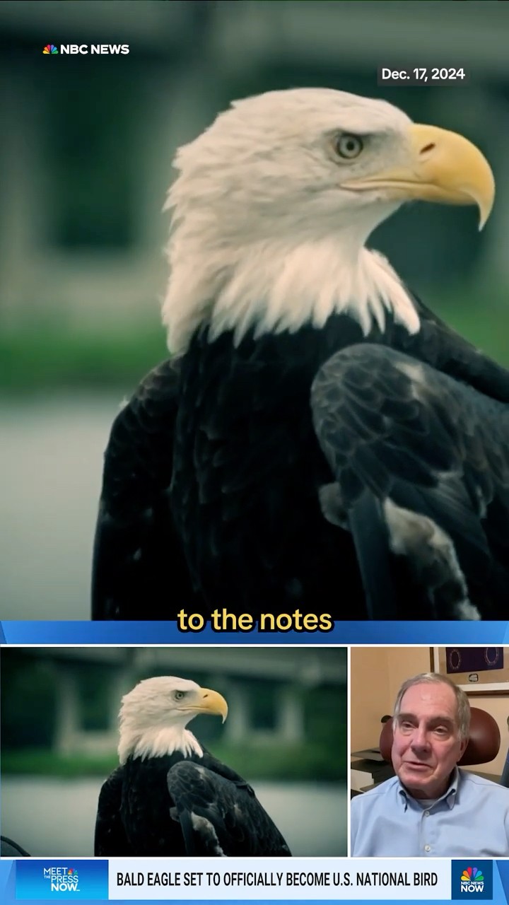 How a Minnesota man discovered the bald eagle wasn't officially the national bird