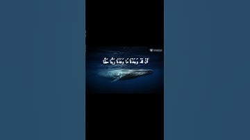 سورة الأعراف الأية _44
